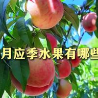 3月应季水果有哪些？