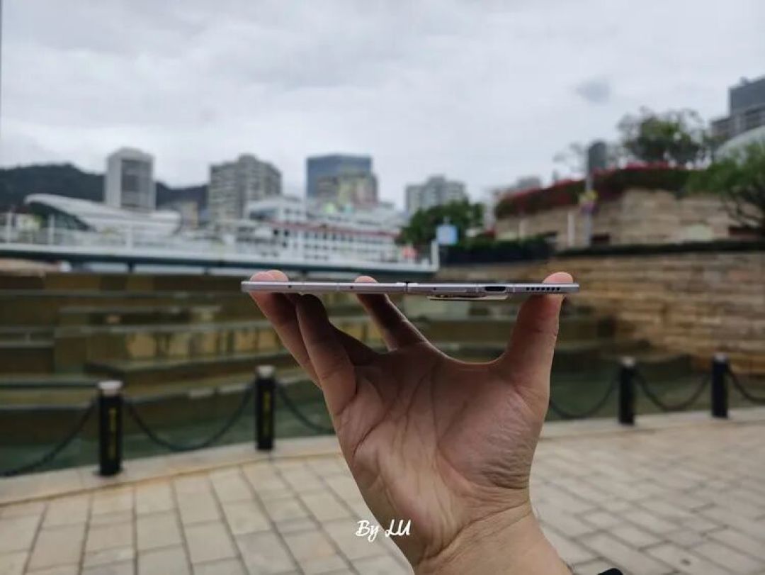 图源：不客观实验室
