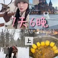 Vlog❄️3🈷️长白山延吉哈尔滨！人均4k！淡季的雪国太美太过瘾…
#长白山 #哈尔滨 #东北旅行 #攻略