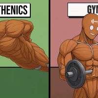 新手增肌别纠结徒手还是哑铃，关键看训练阶段与动作质量