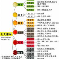 一张图看懂中国七大茶系:从绿茶到花茶,藏着千年的风味密码