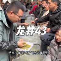 茶叶批发市场,大鹏收下50斤明前龙井,挑点好茶是真不容易 #茶