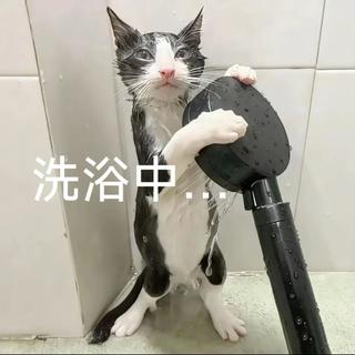 有什么好用的沐浴露可以推荐一下？