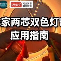 米家智能两线双色灯带，应用教程指南！