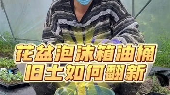 花盆泡沫箱油桶如何旧土翻新？ #种菜 #种植小技巧 #关注我一起学种菜 #自己种的纯天然的绿色蔬菜 #我的小菜园