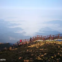 华为P9 莱卡滤镜最毒的一代