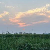 新年新气象，从喝对一瓶东鹏特饮开始！