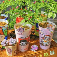 瑞幸联名咖啡杯爆改花盆✨春天阳台C位🌸