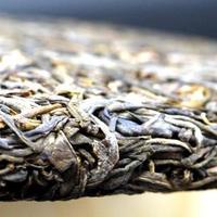 如何选购云南普洱茶？有推荐的么？熟茶和生茶有什么区别呢？
