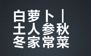 【白萝卜】