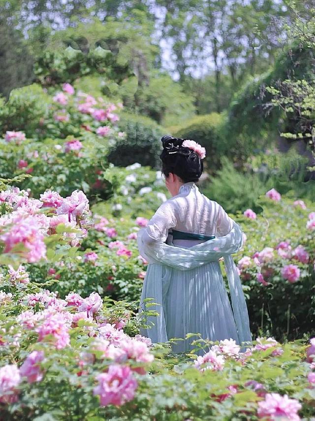 春游赏花：汉服梨花古风副本