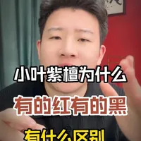 小叶紫檀该怎么选?该选红色还是黑色?#小叶紫檀 #文玩 #手串 #文玩手串 #收藏