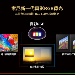 AWE2026 I 二十载RGB技术深耕，索尼真彩RGB电视AWE全球画质首秀
