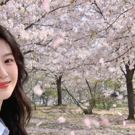 春季赏花指南：按花期择地而行