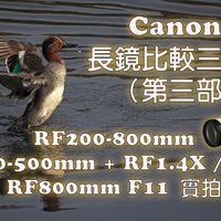 佳能 长镜比较三部曲（第三部）- RF200-800mm, RF100-500mm + RF1.4X 及 RF2X, RF800mm F11F