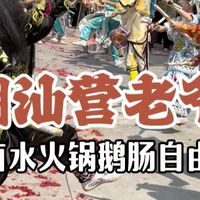 要来潮汕感受春节气氛的,建议过了元宵再来,活动不断。看完营老爷,再吃个地道卤水火锅,不虚此行