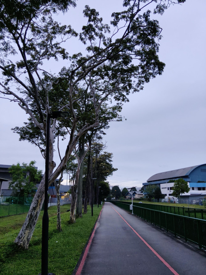 跑鞋
