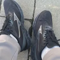 美津浓的薄底香菜（wave rc），不太香