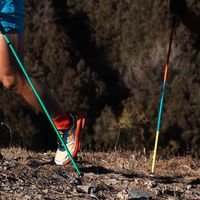 碳纤维挺进T1200时代，一根碳纤维登山杖到底怎么选？