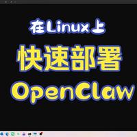 树莓派上快速部署openclaw