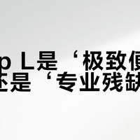 适马fp L是‘极致便携神器’还是‘专业残缺机’？1000+用户观点大PK