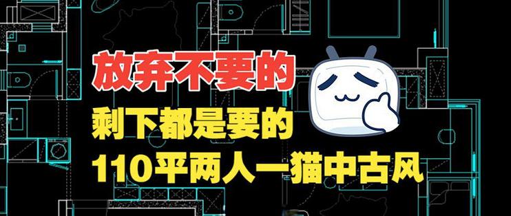 放弃不要的,剩下都是要的,110平,两人一猫,去客厅化中古风_装修主材_什么值得买