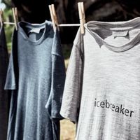 又贵又扎人，美利奴羊毛凭什么在户外圈封神？不同季节该怎么选？