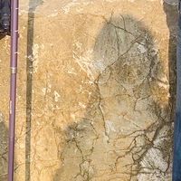 赛普轻便登山杖来袭！专业户外，折叠伸缩超有范儿✨