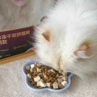 长话短说：网易严选新款猫粮升级在哪