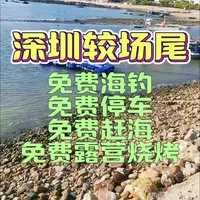 深圳较场尾免费海钓免费停车免费赶海免费露营烧烤，适合矶钓竿远投竿垂钓。是休闲自驾游海边露营烧烤野钓的好去处#神仙钓点选择指南  #深圳海钓 #户外赶海抓海鲜 #深圳免费钓鱼 #出来钓鱼了喂