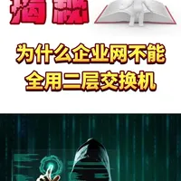 为什么企业网不能全用二层交换机 #交换机 #企业网 #二层交换机 #网络工程师 #华为认证