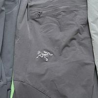 一鸟二象三鼠：为什么现在都说是攀山鼠？那个 “鼠” 到底该留给谁？