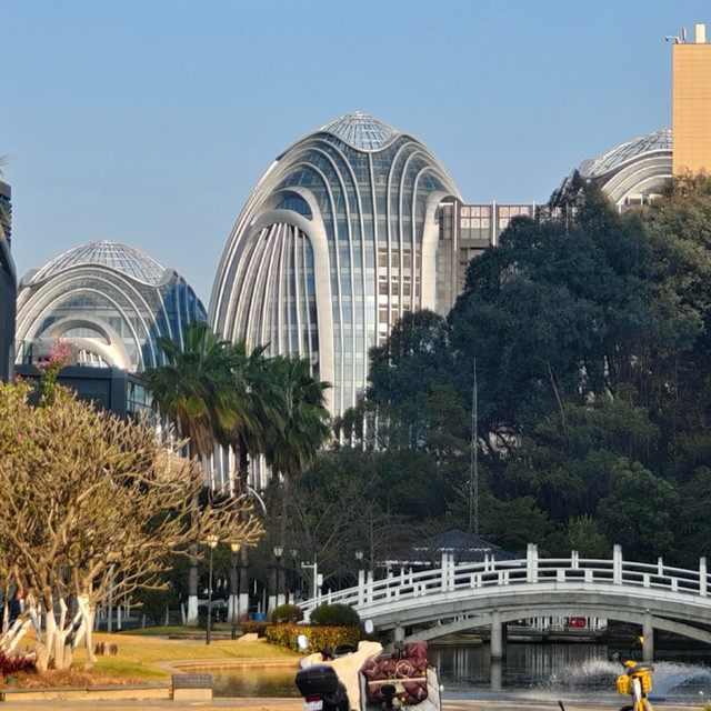 春风、AI与家人：我的城市户外灵感库