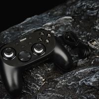 二手游戏手柄是“捡漏神器”还是“翻车陷阱”？全网用户真实观点大PK