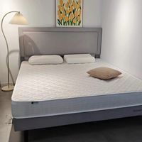 Novilla N1单人床垫｜独居党睡感封神✨20cm厚软fufu不塌陷