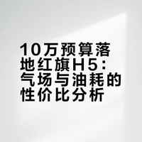 10万能开出30万的排面？油耗4毛多/公里，红旗H5值得买吗？