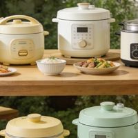 2026电压力锅排名解析哪个品牌好？口碑品质兼备，爸妈都说好用！