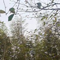 热门相机推荐与个人使用心得