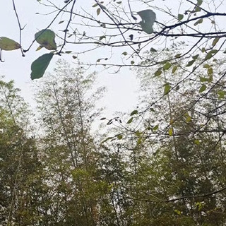热门相机推荐与个人使用心得