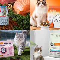 哪个品牌的猫粮质量好怎么选？2026十大放心猫粮品牌排行名单