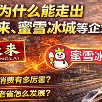 河南：为什么能成为入主中原之地？为什么胖东来、蜜雪冰城在这里崛起？
