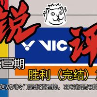 胜利羽毛球实力排行😡碳音太夯了！