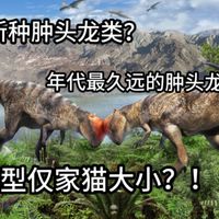 【古生物科普】蒙古发现了有史以来最小的肿头龙