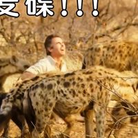 “完蛋！我被鬣狗包围了！”