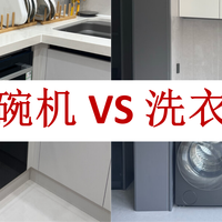 家电推荐 篇零：洗碗机 vs 洗衣机：同为百年家电，为何一个成刚需一个仍是奢侈品