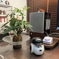 原木风苹果桌搭封神指南：照着做秒变高效治愈桌面