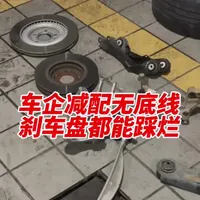 有些车企无底线，刹车盘减配到踩一脚踩烂？ #老谭喷车