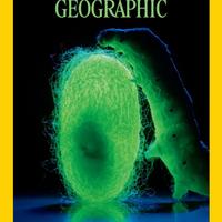 国家地理 | National Geographic 2026年3月刊 PDF