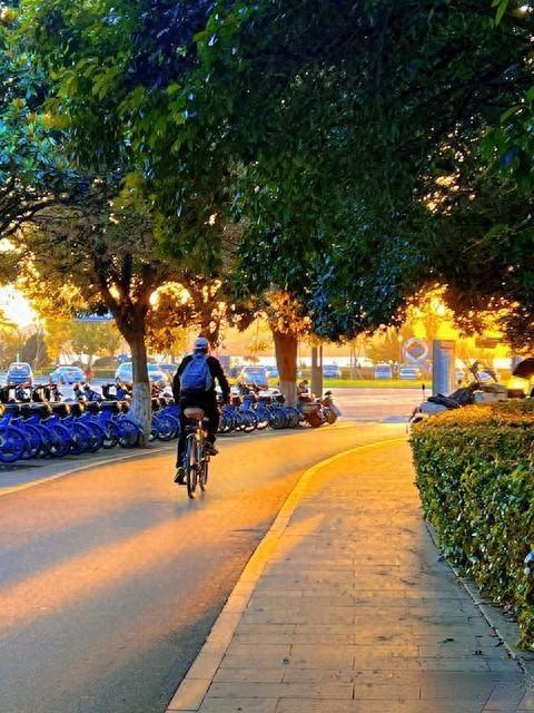 每天30分钟骑行，到底算不算锻炼？专家说实话：别再小瞧这半小时