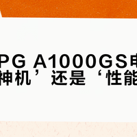 微星MPG A1000GS电源是‘静音神机’还是‘性能隐患’？786+用户观点大碰撞